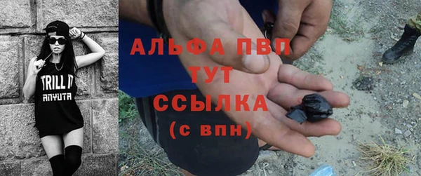 стафф Алзамай