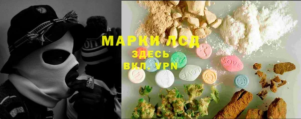 стафф Алзамай