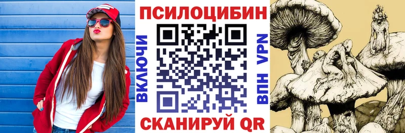 Галлюциногенные грибы Psilocybe  Петровск-Забайкальский 